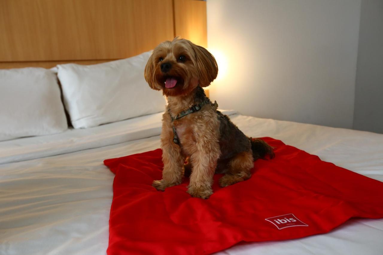 Ibis Rio De Janeiro Santos Dumont Hotell Eksteriør bilde